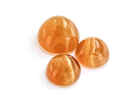 Fire Opal Cat's Eye Round Matched Set of 3 3.24ctw