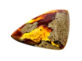 Sumatran Amber 45.4x32mm Triangle Cabochon 25.36ct