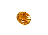 Yellow Sapphire 11.6x9.4mm Oval 5.93ct