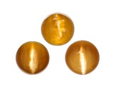 Fire Opal Cat's Eye 6.5mm Round Matched Set of 3 3.43ctw