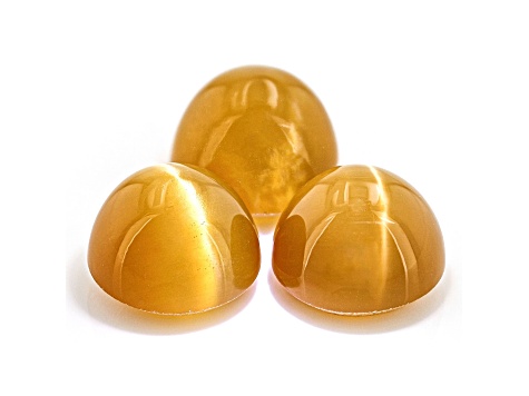 Fire Opal Cat's Eye 6.5mm Round Matched Set of 3 3.43ctw