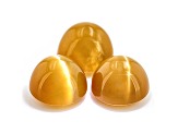 Fire Opal Cat's Eye 6.5mm Round Matched Set of 3 3.43ctw