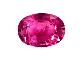 Rubellite 16.3x11.8mm Oval 11.86ct