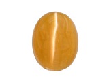 Fire Opal Cat's Eye 7x5mm Oval 0.60ct