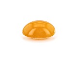 Fire Opal Cat's Eye 7x5mm Oval 0.60ct