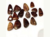 Australian Boulder Opal Free-Form Cabochon Set of 15 171ctw