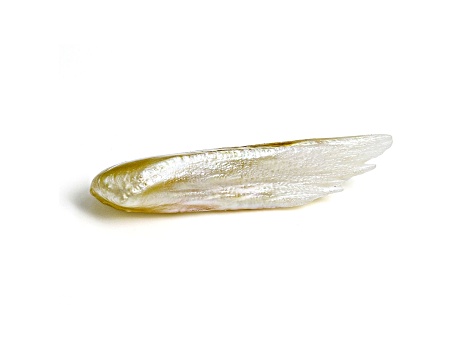 Natural Tennessee Freshwater Golden Pearl 19.1x4.9mm Wing Shape 2.04ct