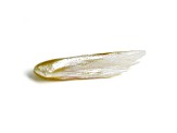 Natural Tennessee Freshwater Golden Pearl 19.1x4.9mm Wing Shape 2.04ct