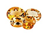 Citrine Calibrated Oval Set of 5 7.00ctw