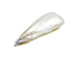 Natural Tennessee Freshwater Multi-Color Pearl 18.7x7.2mm Wing Shape 2.87ct