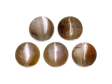 Opal Cat's Eye 7mm Round Set of 5 5.85ctw