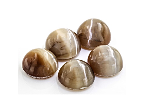 Opal Cat's Eye 7mm Round Set of 5 5.85ctw