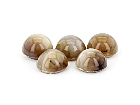 Opal Cat's Eye 7mm Round Set of 5 5.85ctw