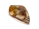 Tennessee Paint Rock Agate 27.0x26.5mm Kite Shape Cabochon Focal Bead