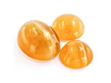 Fire Opal Cat's Eye Round and Oval Matched Set of 3 2.89ctw