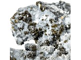Bulgarian Sphalerite on Quartz and Galena 21x12.25cm Specimen