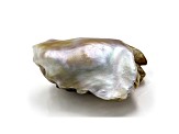 Natural Tennessee Freshwater Pearl 19.3x1413.6mm Baroque 10.93ct