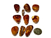 Boulder Opal Pre-Drilled Free-Form Cabochon Set of 10 257ctw