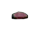 Watermelon Tourmaline 23.5x20.5mm Free-Form Slice 17.77ct