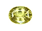 Yellow Sapphire Loose Gemstone11.65x9.2mm Oval 5.76ct