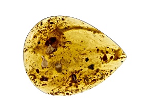 Sumatran Amber 36x28mm Pear Shape Cabochon 15.42ct