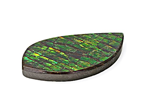 Ammolite Doublet 23.63x11.96mm Free-Form 8.18ct