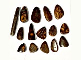Australian Boulder Opal Free-Form Cabochon Set of 15 140.00ctw