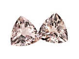 Morganite 7mm Trillion Matched Pair 1.60ctw