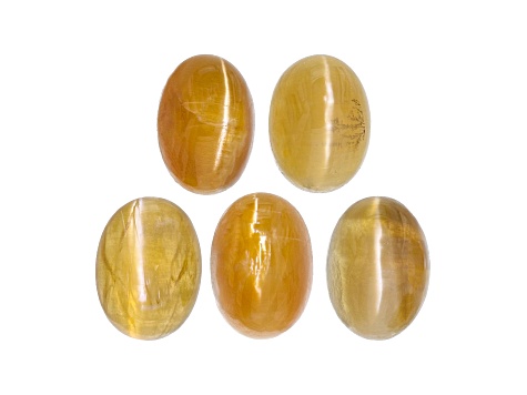 Fire Opal Cat's Eye 7x6mm Oval Set of 5 3.50ctw