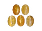 Fire Opal Cat's Eye 7x6mm Oval Set of 5 3.50ctw