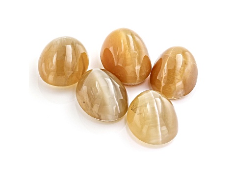 Fire Opal Cat's Eye 7x6mm Oval Set of 5 3.50ctw