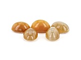 Fire Opal Cat's Eye 7x6mm Oval Set of 5 3.50ctw
