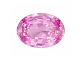 Pink Sapphire Loose Gemstone 8.3x6.1mm Oval 1.43ct