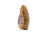 Dendritic Agate Free-Form 5.0x3.5in