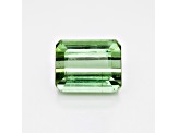 Green Tourmaline 12.4x10mm Emerald Cut 8.85ct