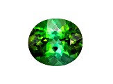 Green Tourmaline 11x9.6mm Oval 3.84ct