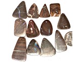Boulder Opal Free-Form Cabochon Set of 8 79ctw