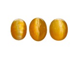 Opal Cat's Eye Oval Cabochon Set of 3 7.93ctw