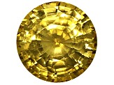 Yellow Sapphire Loose Gemstone 12.7mm Round 11.51ct