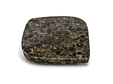 Oolite 39.5x35.5mm Cushion Cabochon Focal Bead