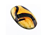 Sumatran Amber 50x32.5mm Oval Cabochon 32.88ct