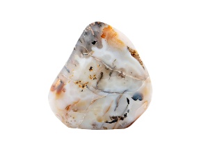Dendritic Agate Free-Form 5x2in