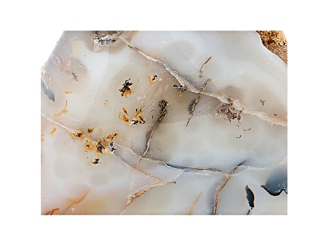 Dendritic Agate Free-Form 5x2in