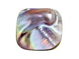 Cultured Saltwater Blister Pearl 37.5x35mm