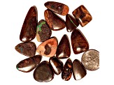 Boulder Opal Pre-Drilled Free-Form Cabochon Set of 15 153ctw