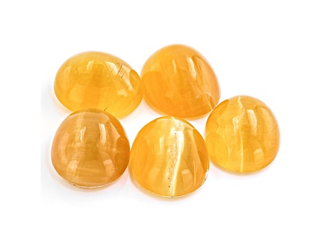 Fire Opal Cat's Eye 7x6mm Oval Set of 5 4.46ctw