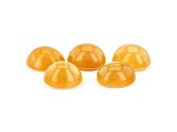 Fire Opal Cat's Eye 7x6mm Oval Set of 5 4.46ctw