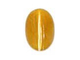 Fire Opal Cat's Eye 7x5mm Oval 0.75ct