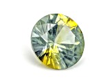 Montana Multi-Color Sapphire Loose Gemstone 5mm Round 0.56ct
