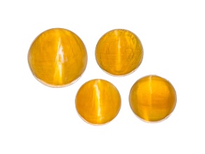Fire Opal Cat's Eye Round Matched Set of 4 4.28ctw
